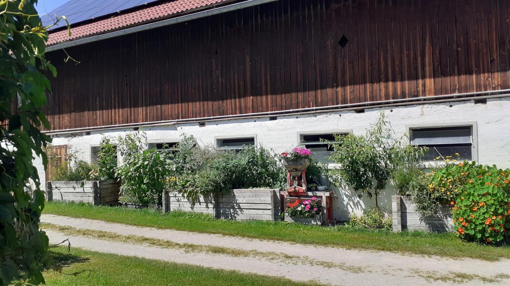 Pension Trillerhof Ramsau am Dachstein Exterior foto